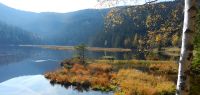 019 kleiner arbersee - herbstliche pracht